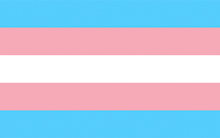 File:Trans flag sm.jpg