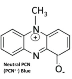 File:Pyocyanin chemical structure.png
