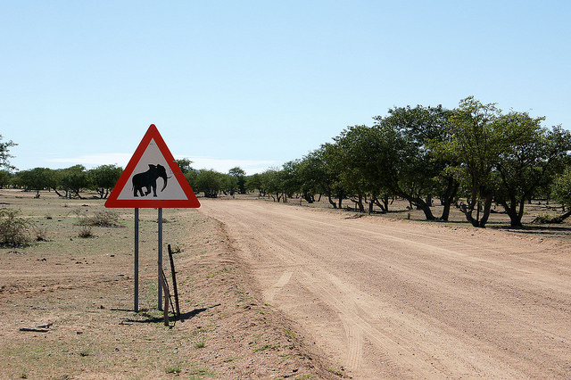 File:Elephant Crossing Signage.jpg