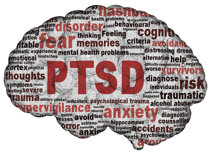 File:PTSD Brain.png