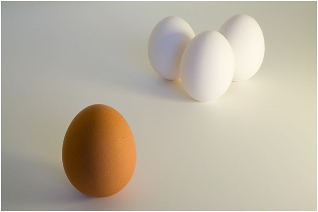 Racism eggs.jpg