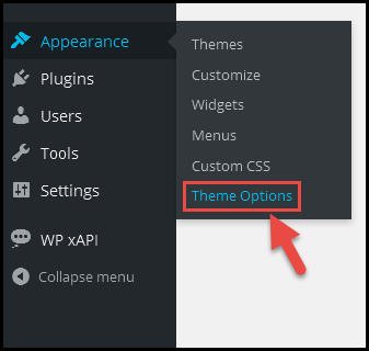 File:Theme options.png