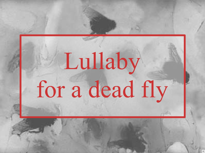 File:Lullaby.png