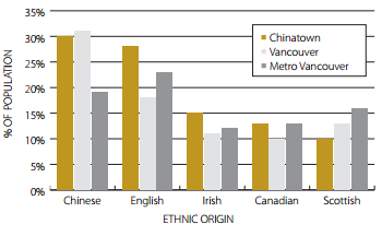 Ethnic origin.png