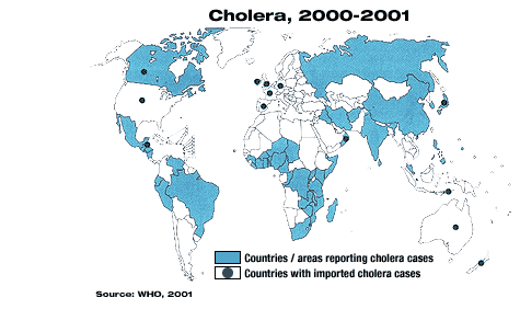 cholera map