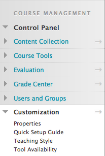 File:Connect Course Customization.png