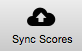 File:Sync Score Icon.png
