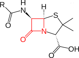 File:Penicillin Structure.png