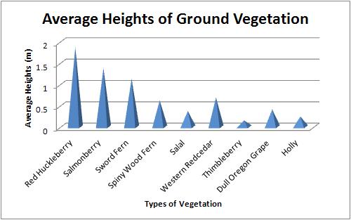 File:SGF Cw Average Height of Ground Vegetation.JPG