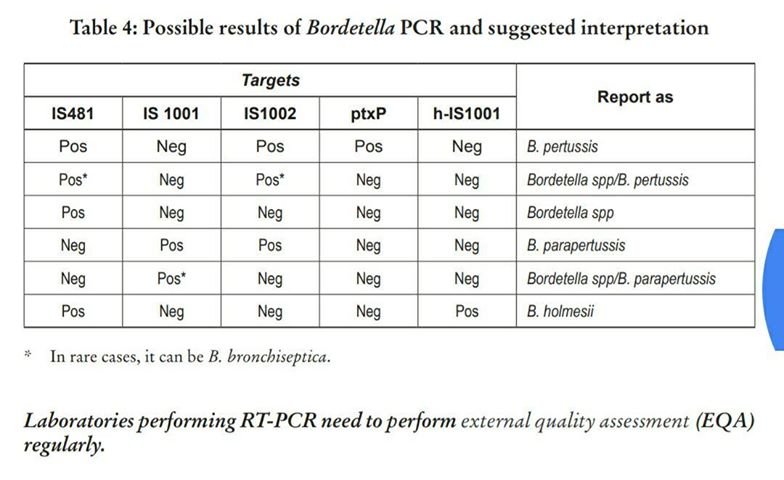 File:Figure 4. Targets for PCR for identification of B. pertussis.png