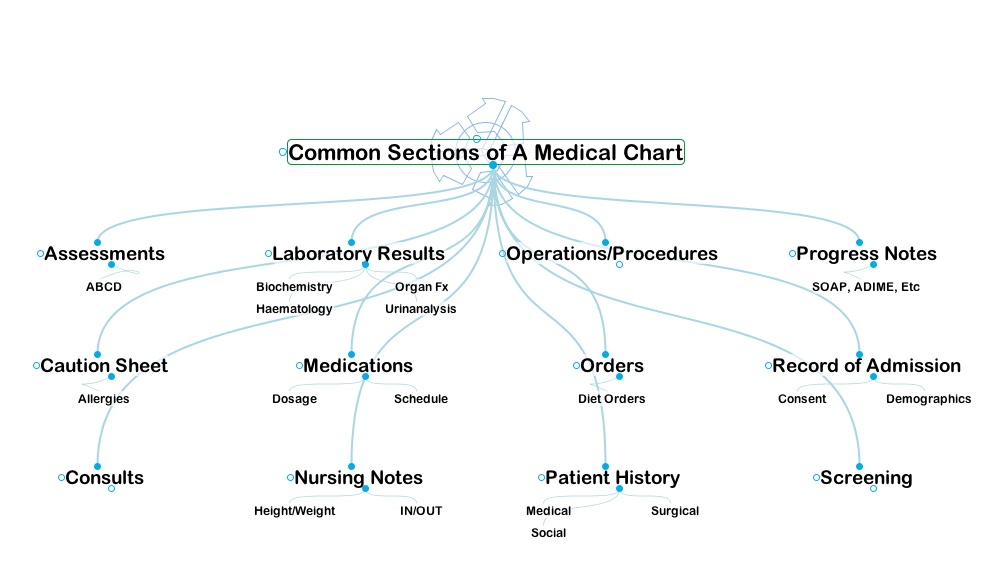 Concept map showing the major areas of a medical chart