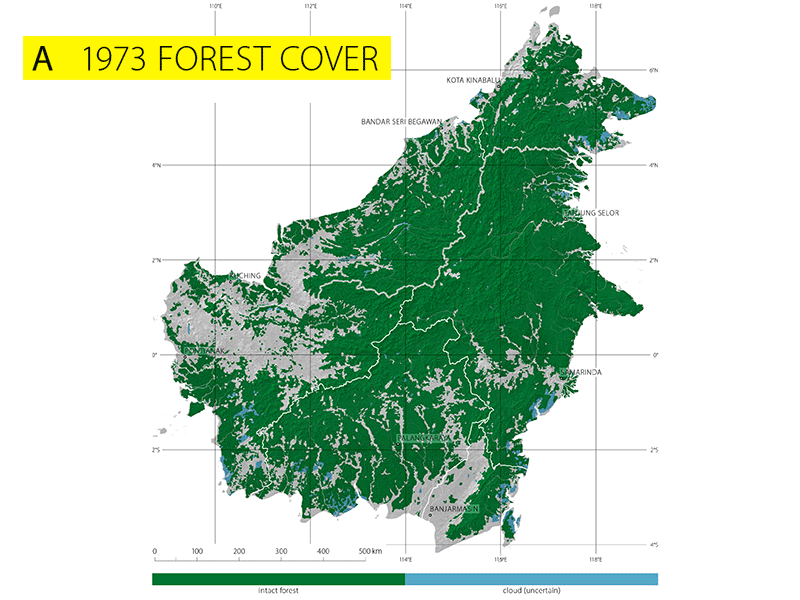 File:Borneo forest loss.gif
