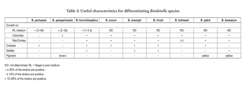 File:Figure 0. Summary of the biochemical tests used to identify B. pertussis..png