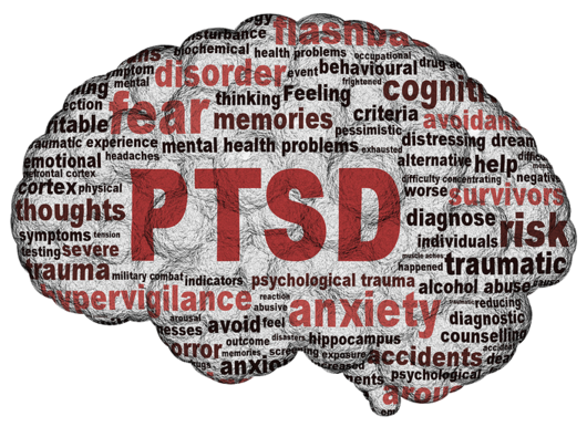 PTSD Brain.png