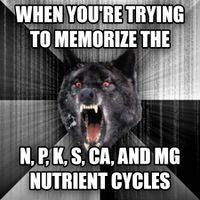 Nutrients Cycle Memes created by CarolynGao
