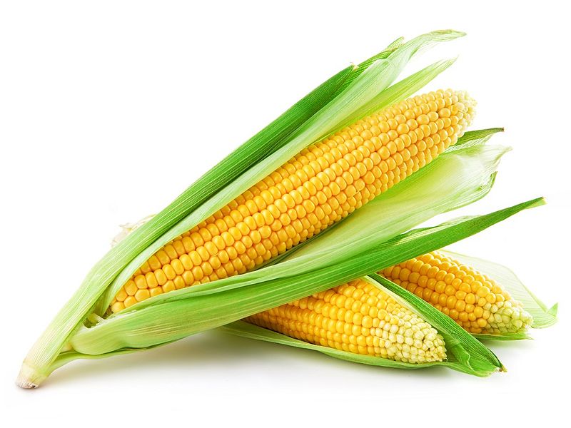 File:Corn.jpeg