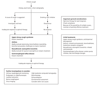 Cough AAFP algorithm.png