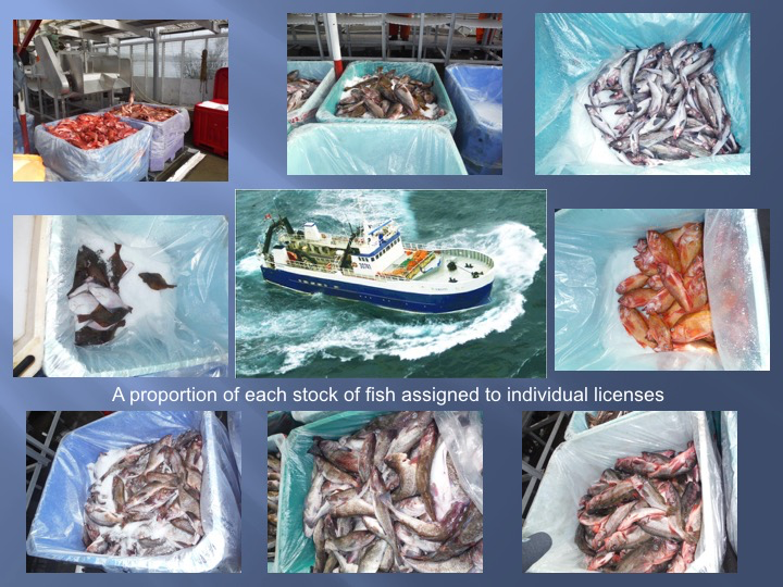 File:Groundfish fisheries.png