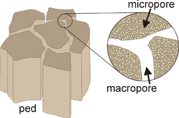 File:16.1.1macro&micropores.jpg