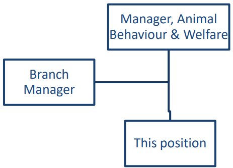 File:BC SPCA Shelter Animal Behaviour practicum organizational structure.png