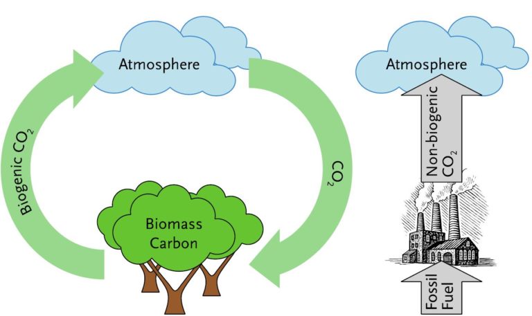 File:Fossil vs biogenic CO2 emissions.jpg