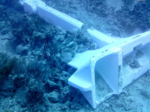 File:Coral reef damaged by cruise anchor.jpg