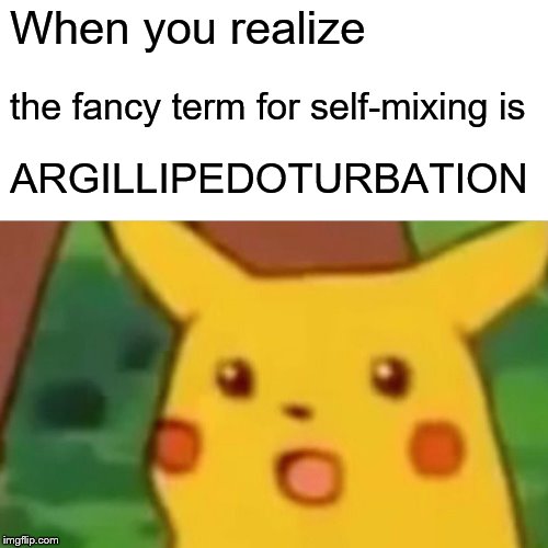 What is argillipedoturbation?.jpg