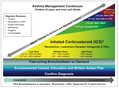 Asthma management continuum.png