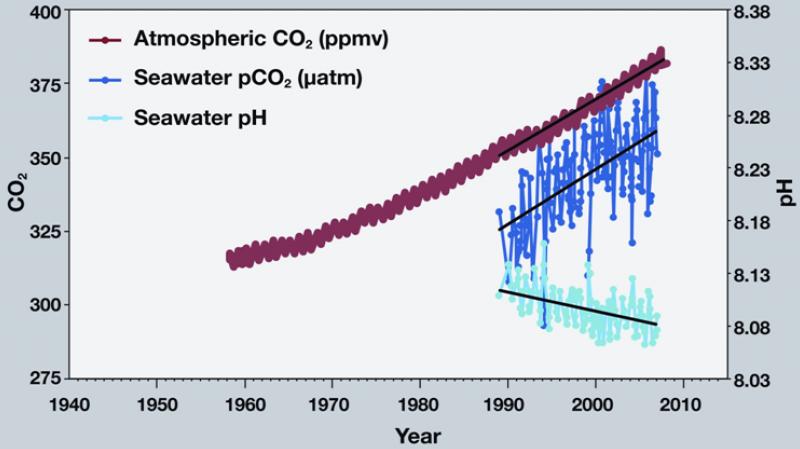File:CO2 Concentrations and Oceanic pH.jpg