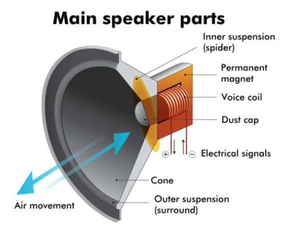 File:Main components of a speaker.png