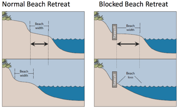 File:Beach retreat graphic.png