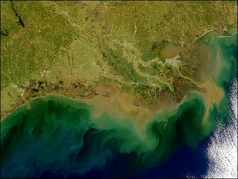 File:Louisiana delta satimage.jpg