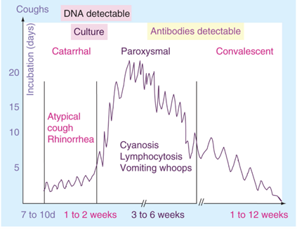 File:Whooping cough timeline.png