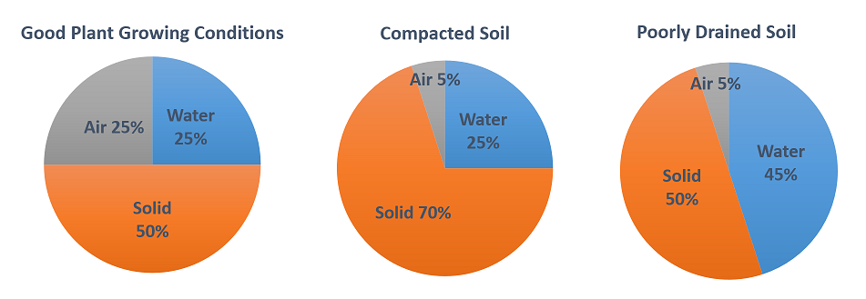 Proportions of soil components (on a volume basis) under different plant growing conditions