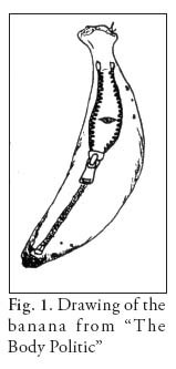 Drawing of the banana from "The Body Politic".jpg
