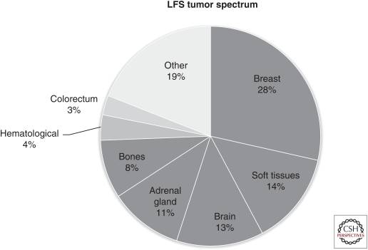 File:LFS tumor spectrum.jpg