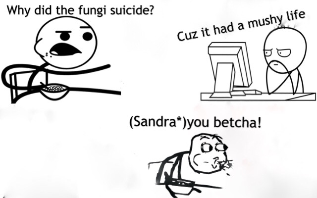 File:"Why Did The Fungi Suicide?" Becca W.jpg