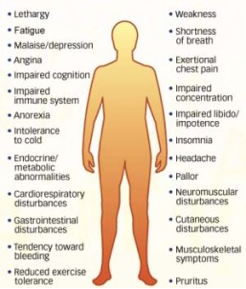 Anemia signs and symptoms.png