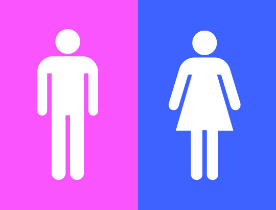 File:Gender binary.jpg