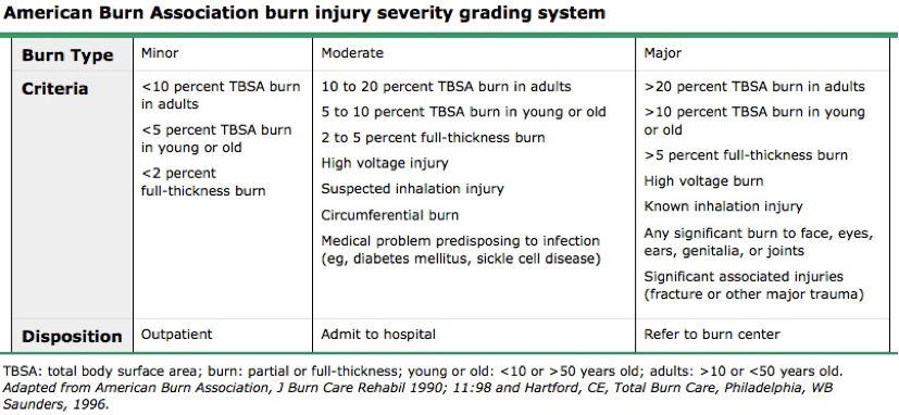 Skin Disorders burn severity grading.png