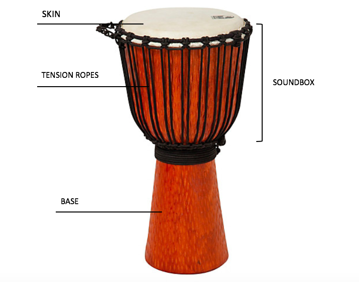 File:Labelled diagram of the Djembe.png