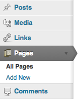 File:UBC Blogs Add New Pages.png