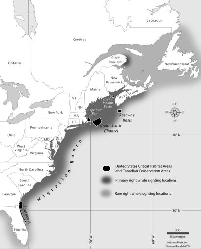 File:Historic Western Atlantic whaling range of North Atlantic right whale.jpg