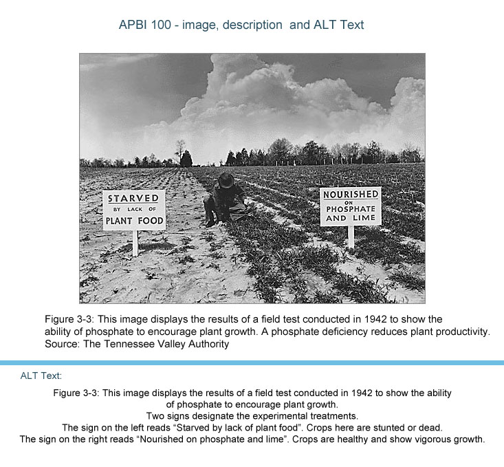 3-3 PhosphateFertilizerTrial.jpg