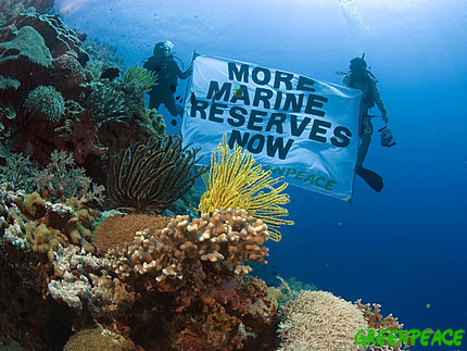 File:Greenpeace is an International NGO that works with costal communities to protect their marine ecosystems.jpg