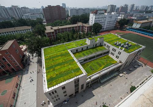 File:A bird’s view of the green roof of Beijing University of Chinese Medicine.jpg