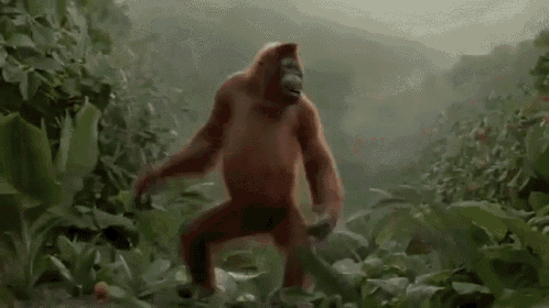 File:Orangutan dancing.gif