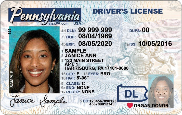 File:Driver License.png