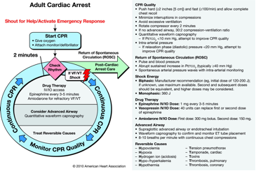 ACLS Cardiac Arrest.png
