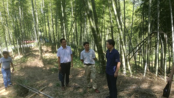 File:The experts are offering guidance to the farmers in Huoshan.jpg